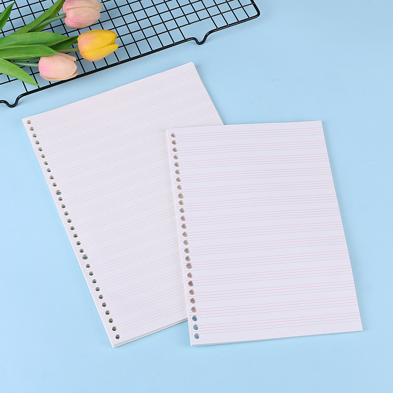 Carnet de notes A4 A5 B5, plan - Notebook Dotted A5 avis et prix